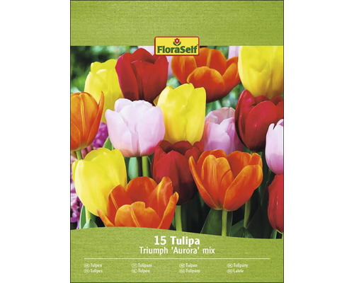 Balení tulipánů Triumph Aurora Mix s 15 kusy