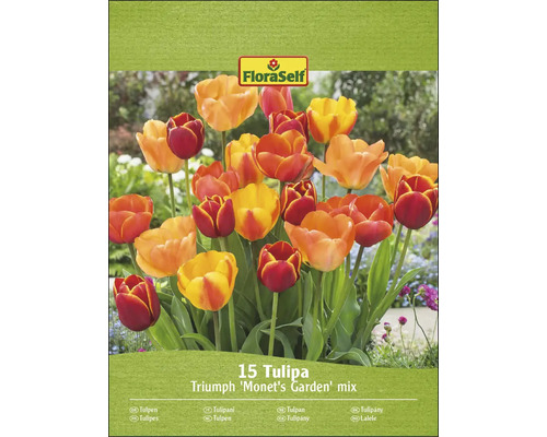 Balení FloraSelf 15 Tulipa Triumph ''Monet''s Garden'' mix
