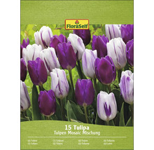 Balení tulipánů Mosaic Mix s 15 tulipány