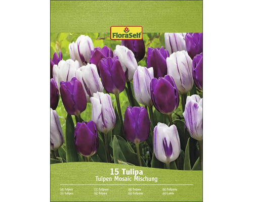 Balení tulipánů Mosaic Mix s 15 tulipány