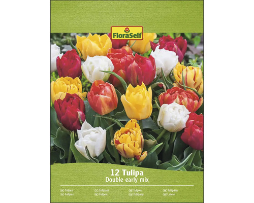 FloraSelf Tulipány Double Early Mix, balení dvanácti cibulí
