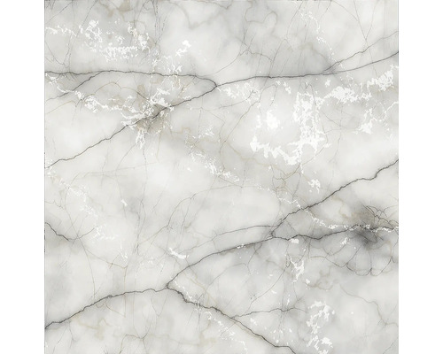 Dlažba imitace mramoru THUNDER BOLT 60x60 cm Dlažba imitace mramoru THUNDER BOLT 60x60 cm