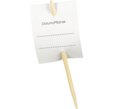 Dřevěná rostlinná jmenovka s polem pro datum a název rostliny