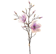 Dekorativní větev magnólie s květy a poupaty