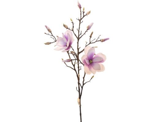 Dekorativní větev magnólie s květy a poupaty