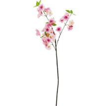 Dekorativní větev třešňového květu s růžovými květy a zelenými listy.