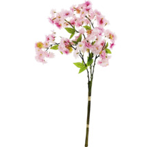 Dekorativní větev třešňového květu