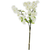 Dekorativní třešňová větev s bílými květy a zelenými listy