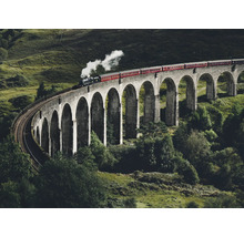 Vlak přejíždí viadukt Glenfinnan, železniční most ve Skotsku.