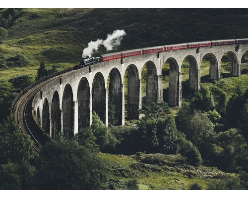 Vlak přejíždí viadukt Glenfinnan, železniční most ve Skotsku.