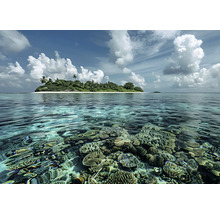 Tropický ostrov s korálovým útesem v tyrkysové vodě