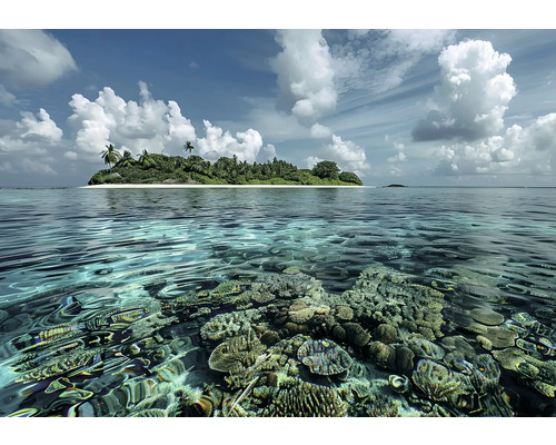 Tropický ostrov s korálovým útesem v tyrkysové vodě