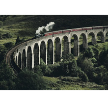 Vlak přejíždí kamenný viadukt v zelené krajině.