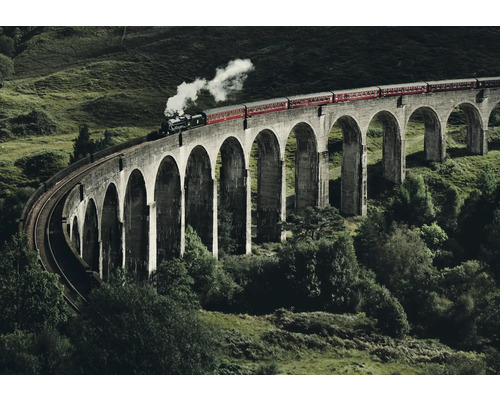 Obraz Decopanel Train on the bridge 136x98cm Vlak přejíždí kamenný viadukt v zelené krajině.