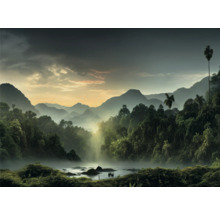 Krajina s horami, džunglí a řekou