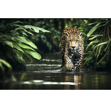 Jaguár prochází řekou v džungli