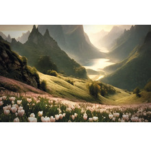 Krajinný obraz s údolím, květinovou loukou a horami