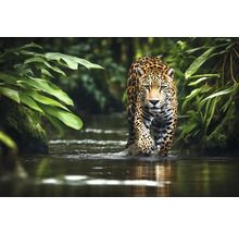 Jaguar se brodí řekou, obklopen bujnou zelení.