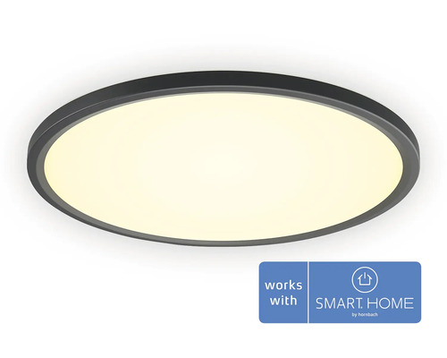 LED stropné svítidlo Philips Hue 23 W 2350 lm 2200-6500 K černé - kompatibilní se SMART HOME by hornbach