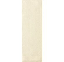 Vzor dlaždic s rybí kostrou