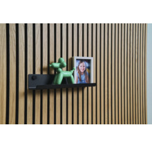 Nástěnný panel s policí, figurkou balónkového psa a rámečkem na fotografie