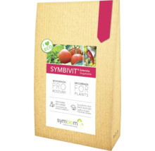 Symbiom Symbivit Zelenina Vegetable Mykorhiza pro rostliny
