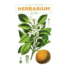Herbárium 2026 Vintage plakát s květinami, listy a plody
