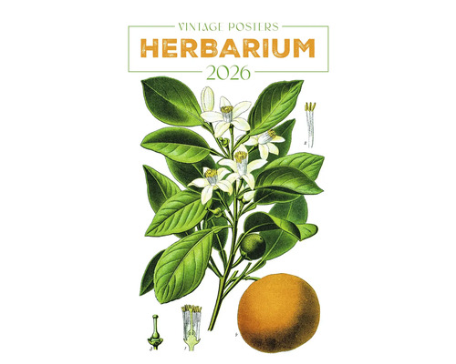 Herbárium 2026 Vintage plakát s květinami, listy a plody