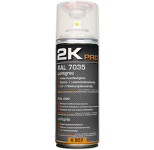2K Pro lak ve spreji RAL 7035 světle šedá