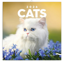 Kalendář koček pro rok 2026 s obrázkem kočky
