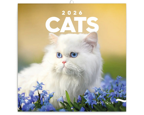 Kalendář koček pro rok 2026 s obrázkem kočky