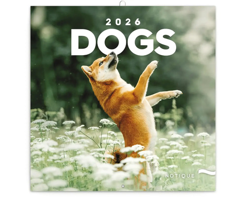 Nástěnný kalendář Psi na rok 2026