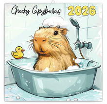 Nástěnný kalendář Cheeky Capybaras 2026 s kapybarou ve vaně