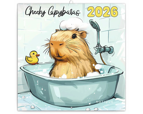 Nástěnný kalendář Cheeky Capybaras 2026 s kapybarou ve vaně