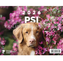 Kalendář pro psy 2026 s motivem psa