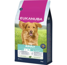 Eukanuba Adult suché krmivo pro psy s jehněčím a rýží v 12kilogramovém balení