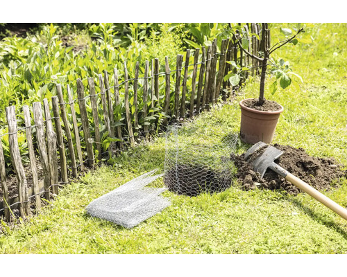 Zahradní scéna s dřevěným plotem, mladým stromem v květináči, rýčem a drátěným pletivem na ochranu rostlin.