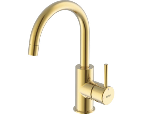 Kuchyňská vodovodní baterie Avital z kovu