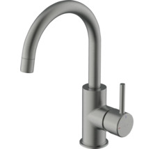 Kuchyňská baterie Avital s obloukovým výtokem