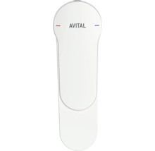 Páková baterie Avital