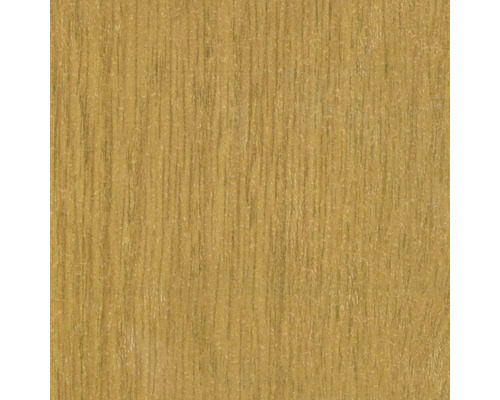 Struktura dřeva, detailní záběr