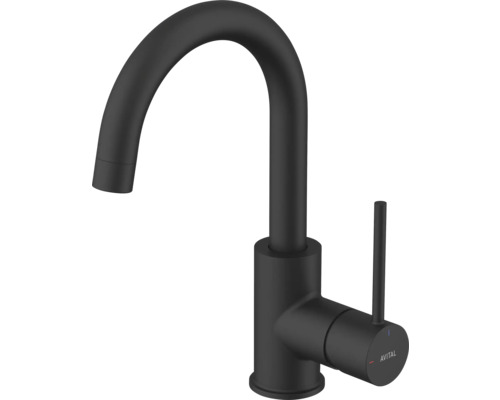 Kuchyňská baterie Avital s vysokým výtokem