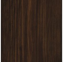 Textura dřeva