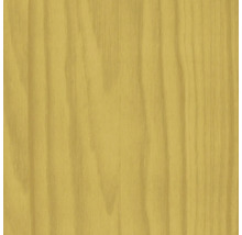 Textura dřeva