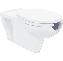 Závěsný hlubokosplachovací klozet s WC sedátkem