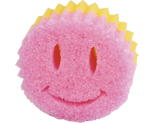 Čisticí houbička s obličejem