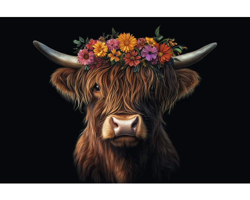 Portrét skotského skotu s květinovou ozdobou
