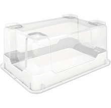 Průhledný box s víkem