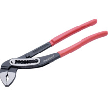 Siko kleště Pattfield