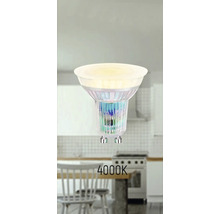 LED žárovka GU10 s barvou světla 4000 kelvinů